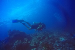 Kri Island diving