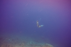 free diving